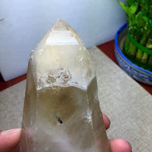 橫紋 天然黃水晶原石水晶柱 橫紋水晶 包裹黑碧璽