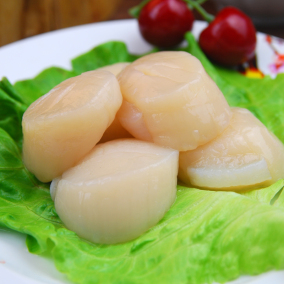 刺身帆立贝柱 带子2s 瑶柱 贝柱 海鲜 大扇贝 1000g/盒