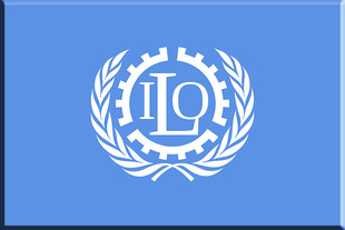 无框画装饰画会议室会客室办公室挂画挂历壁画国际劳工组织会旗帜