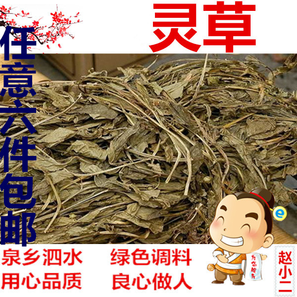 香料 靈香草 靈草 香草 燒菜滷菜 火鍋必備50g 釣魚配方 排草甘松