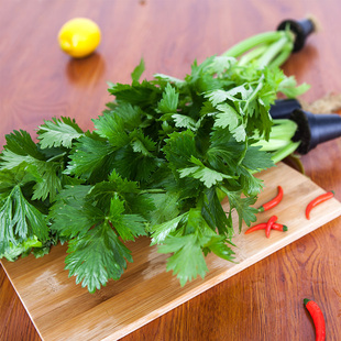 易沃川蔬菜芹菜西芹水芹菜小香芹嫩脆水分足香味浓带根活体销售
