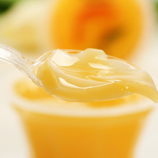 布丁 椰果布丁冰果冻夏季清凉零食综合口味 马来西亚进口ego果冻600g