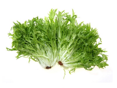 新鲜苦菊500g 新鲜蔬菜 沙拉原料 冷链配送 武汉满百包邮 特菜