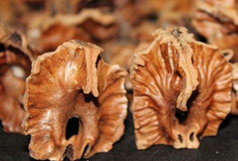 长白山野生核桃秋子分心木,铁核桃分心木打粉,2件包邮38元/件