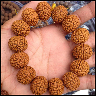 手串 尼泊尔牟尼头金刚菩提子 男女手串a  荔枝纹路5瓣6各种规格精品