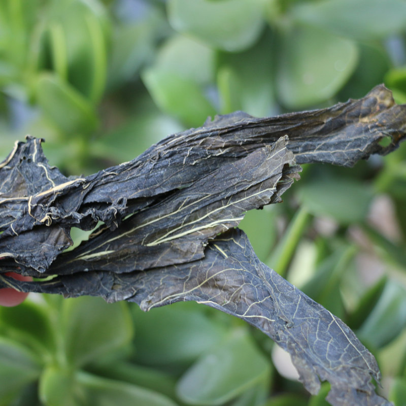 农家自晒芝麻叶干货 河南特产2016新 白芝麻叶脱水蔬菜