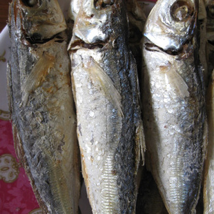 魚乾 特價巴浪魚乾 福建閩南特產海鮮即食漁家海味休閒零食小吃海