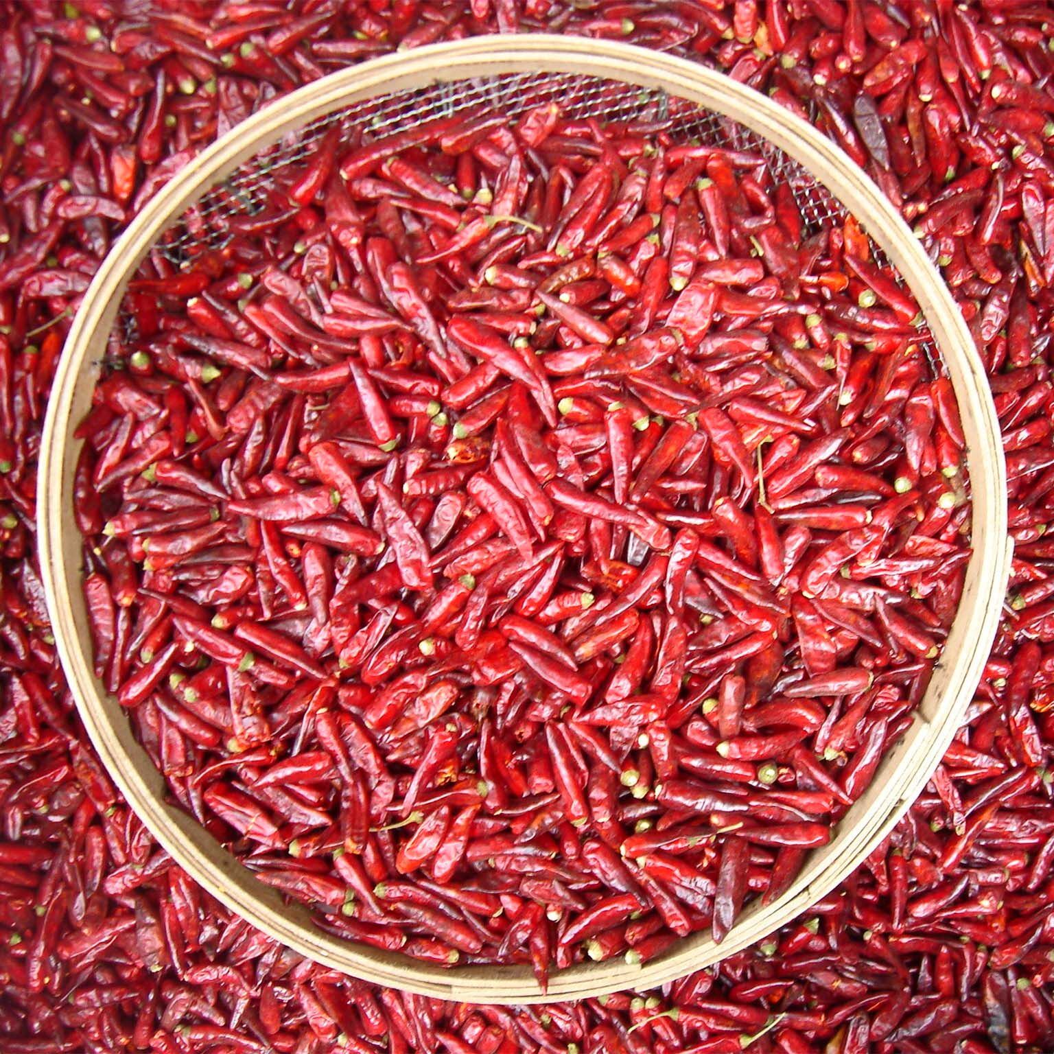 农家干辣椒500g香辣型微辣朝天椒红辣椒可打辣椒面辣椒段