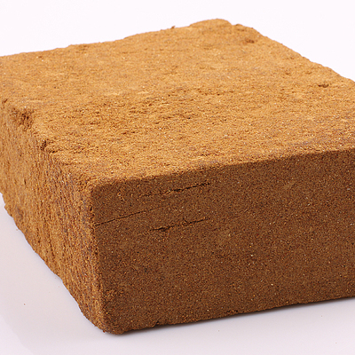 山西特产野生酸枣面1500g高纯度酸枣粉纯天然含野酸枣仁枣核包邮