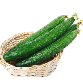 水黄瓜籽挂满架长黄瓜种子花园阳台种菜籽蔬菜种子蔬果种子满包邮