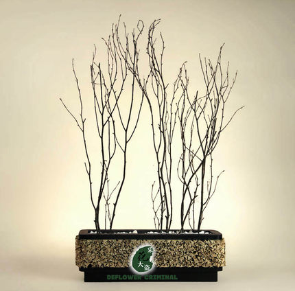 香钱树/摄影道具枯假树枝装饰花仿真假花仿真花装饰落地干花花束