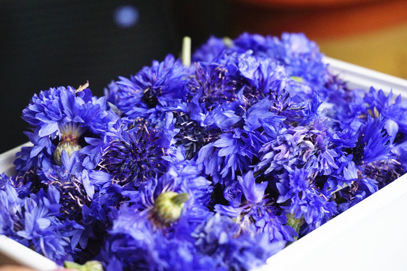 米兰达矢车菊纯露 补水镇定修复敏感 洗眼 250ml