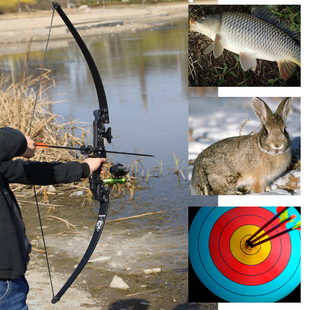 sf 反曲弓箭套装 forged  韩国竞技初学 狩猎分体 美猎射箭器材