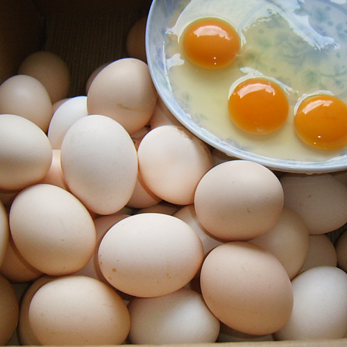 正宗农家笨草土鸡蛋散养新鲜当天初生纯天然柴山自养30枚特价包邮