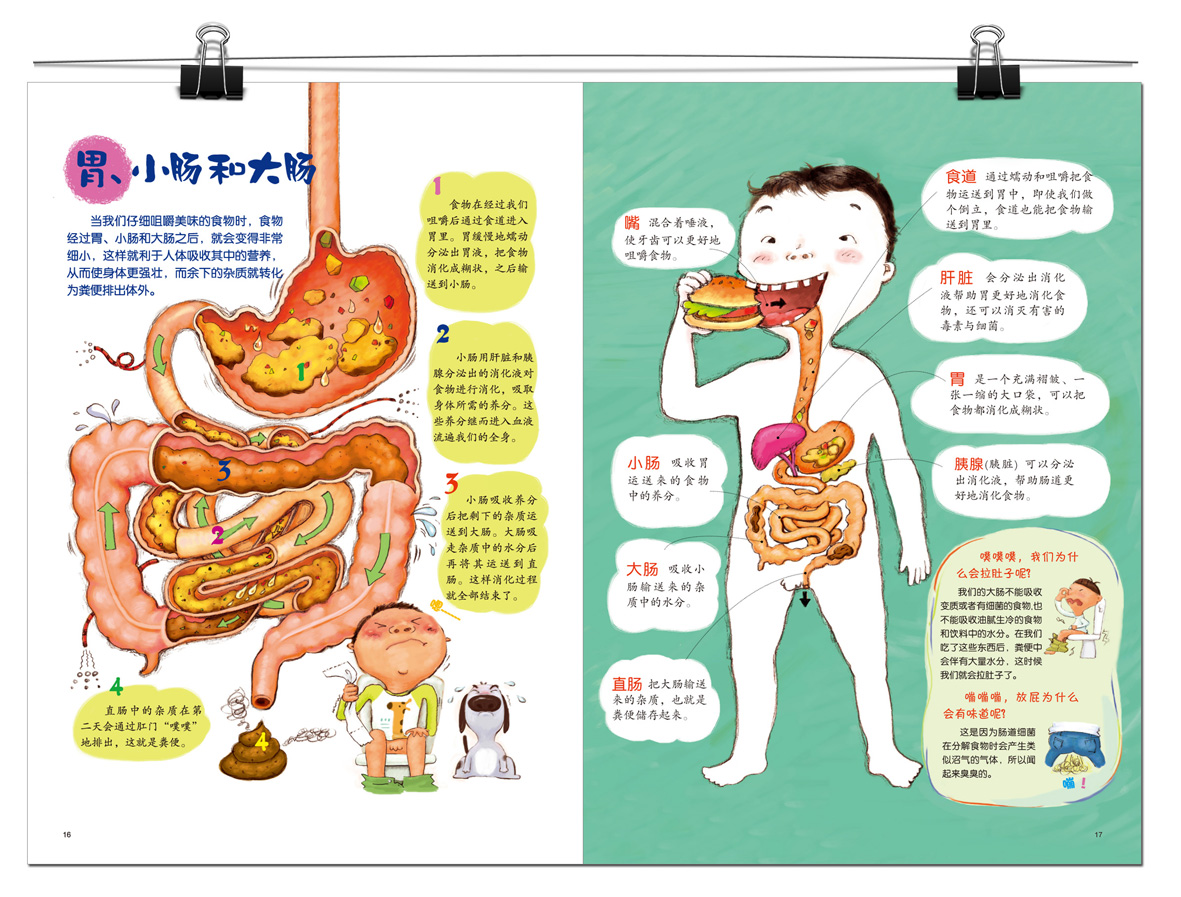 0-1-2-3-4-5-6岁儿童百科全书绘本图画书 幼儿身体的小秘密自我认知