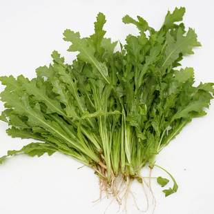 有机苦麻菜,色泽青绿,香气浓郁,质地脆嫩500g