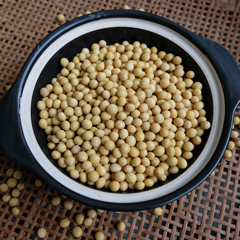 农家黄豆自种食用圆形小黄豆五谷杂粮粗粮非转基因大豆可磨粉500g