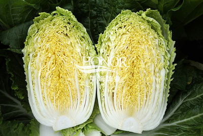 萌黄2号二白菜种子黄心小型棵芯叶浓黄单球重春秋播好吃水果推荐r