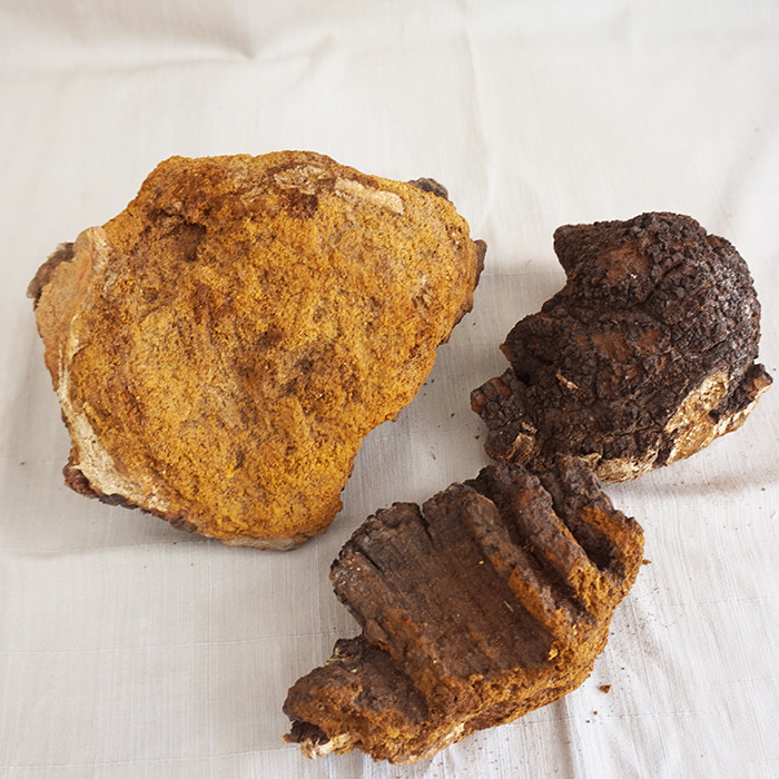 小镇山品 东北野生桦树胆桦树泪白桦茸250g 药用真菌 满3件包邮