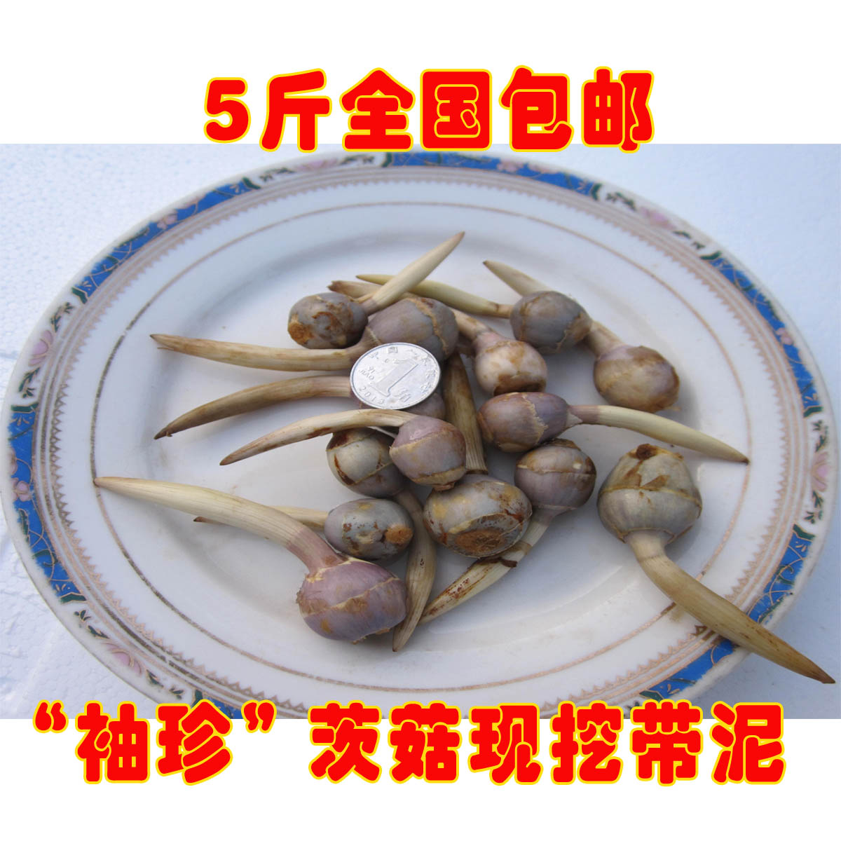 16年新鮮蔬菜芽菇白茨菇慈菇慈姑茨菰小雨眼茨菇500g(個頭小的)