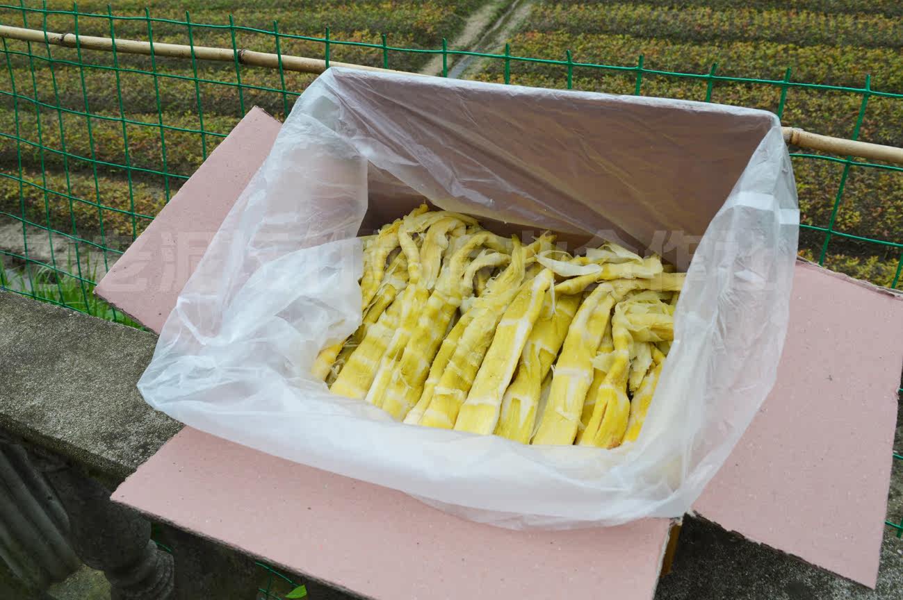 摩臣娱乐开户:【天天特价】安吉特产扁尖红笋雷笋天目笋干竹笋干笋湿