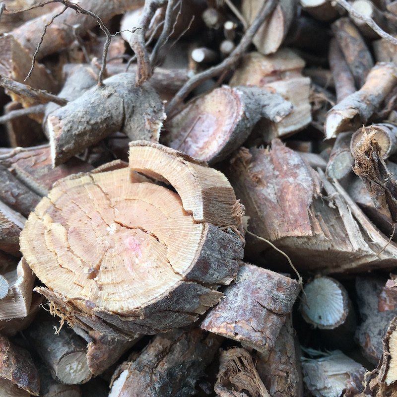 蔷薇根 野生新鲜现挖蔷薇根 深山中草药材 500克蓝庄