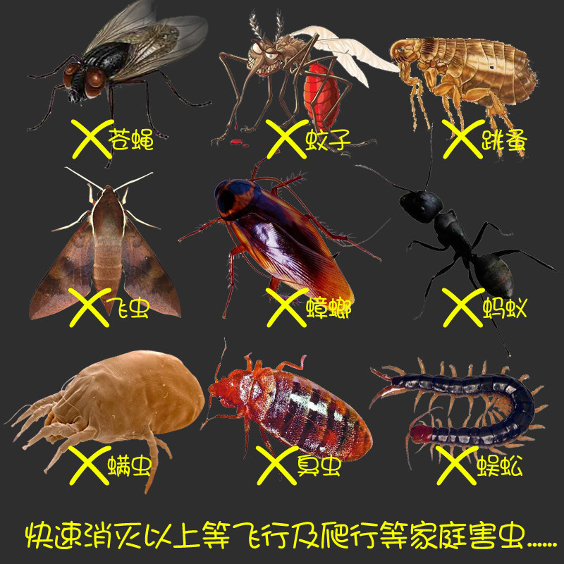 郁康杀虫剂家用灭跳蚤药蟑螂药喷雾剂蚂蚁虱子臭虫药除螨蟑螂屋