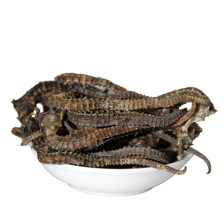 中药材珍宝海马蔺 三斑海马 6克一对 干货 泡酒药材煲汤 包邮