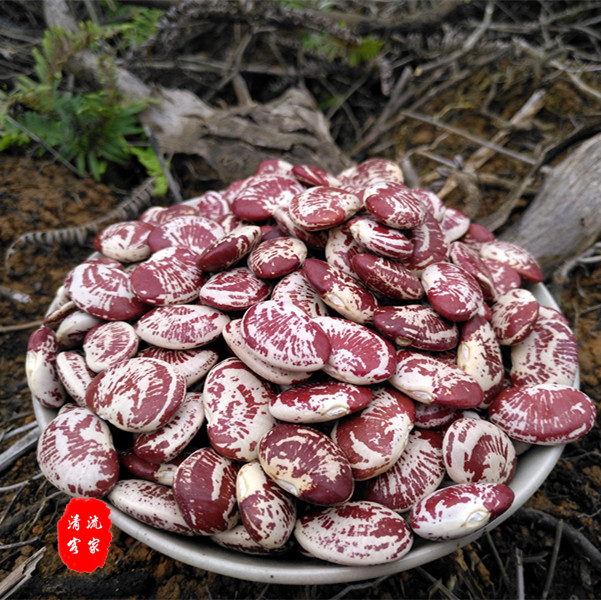 【新貨】圓奶花豆250g 美國圓芸豆農家自種奶花芸