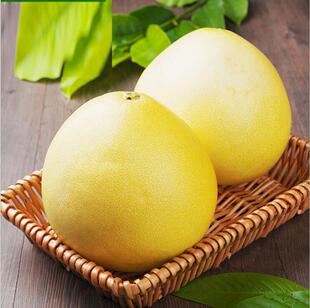 现货2个包邮广东清远特产蜜柚白肉官溪柚子新鲜孕妇水果现摘现发