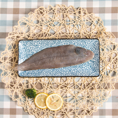 新鲜海鲜 野生舌头鱼 踏板鱼 龙利鱼 鲜活冷冻水产 新鲜鳎目鱼