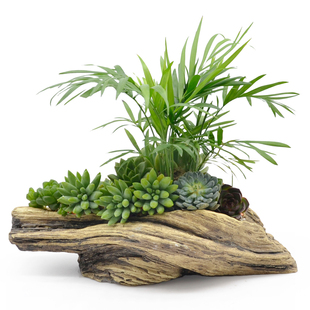 创意个性复古仿木桩树根木头水泥花盆盆栽绿植多肉微景观植物花盆