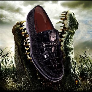 奢侈品意大利品牌男士正宗高档进口鳄鱼皮皮鞋男式款黑色鞋子潮