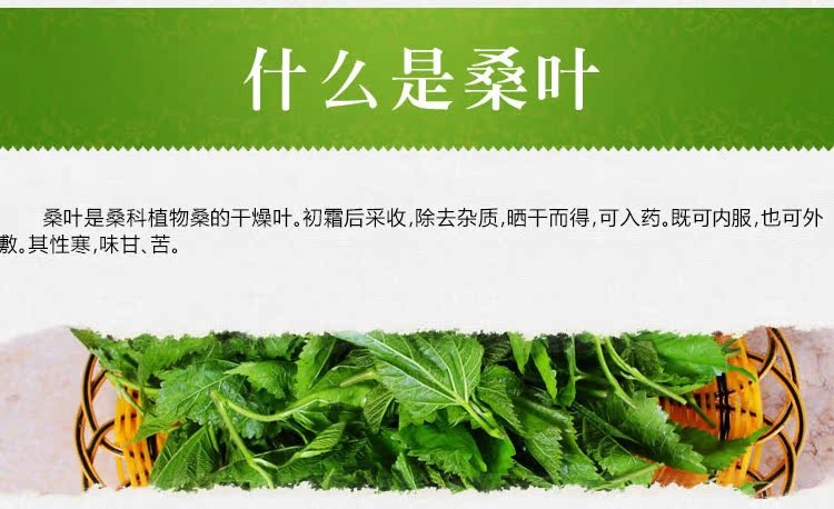 新货霜后桑叶茶 冬桑叶茶三高 血糖血压血脂 霜桑叶茶 500克包邮