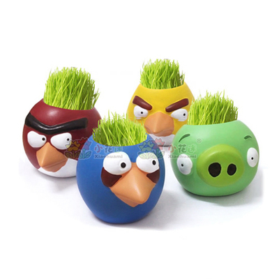 愤怒的小鸟 迷你办公室植物长青草草头娃娃桌面创意动物盆栽礼品