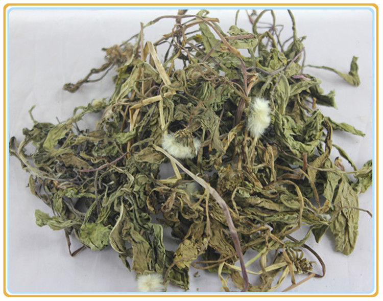 中药材干蒲公英 野生蒲公英 500克包邮蒲公英粉蒲公英茶 花茶草药