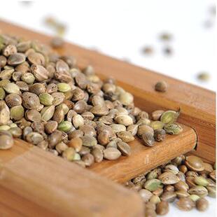 热销仓鼠零食亚麻籽麻子小麦粒燕麦片红花籽仓鼠龙猫松鼠兔子粮食