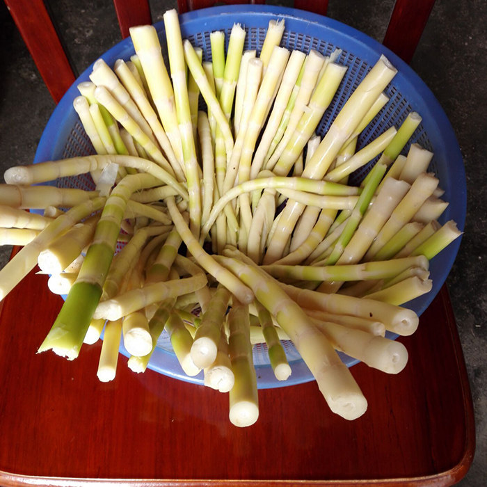 现挖梅州天然新鲜野生苦笋 3斤真空包装削壳 包邮 送正宗客家梅菜