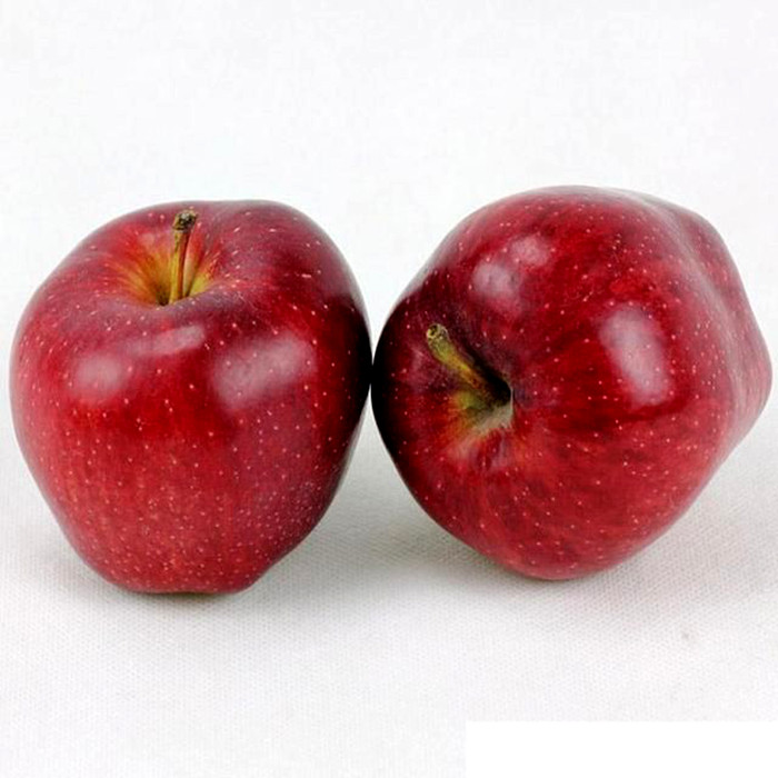 新鲜水果甘肃天水花牛蛇果苹果酥绵粉苹果苹果五斤装特价促销包邮