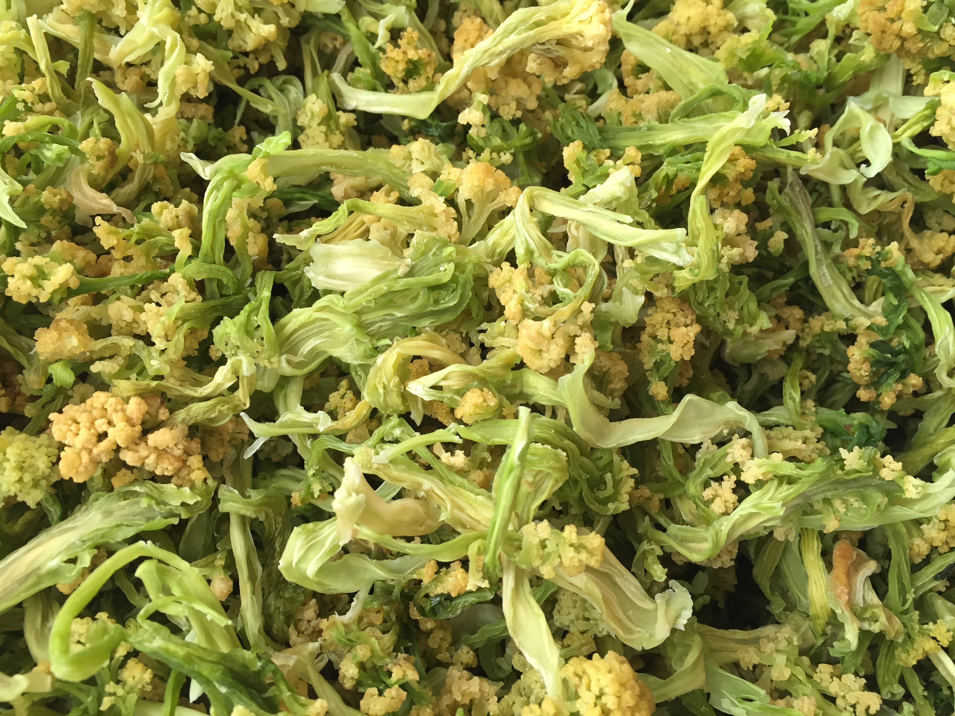 溫州特產 農家花菜乾 天然椰菜花幹 綠色乾花菜特產乾貨200g