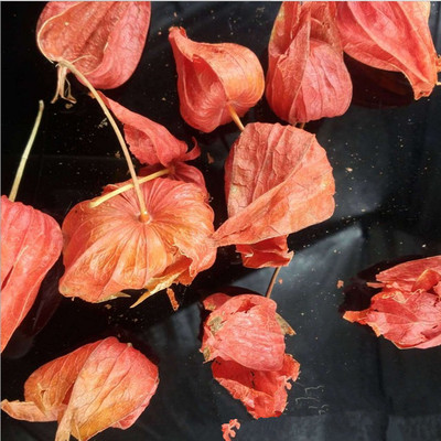 中药材 红姑娘 皮灯笼 挂金灯 锦灯笼 干净不发黑250克