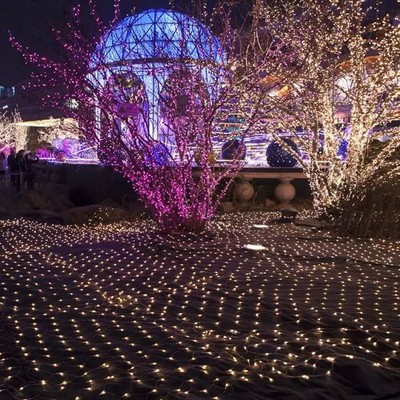led户外网灯彩灯闪灯串灯商场亮化工程灯圣诞求婚节日装饰霓虹灯