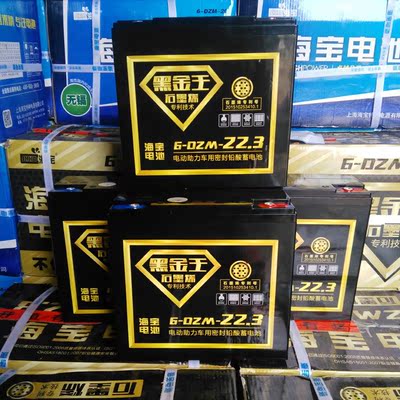 海宝黑金王 海宝电池 超威天能电动车电瓶 48v12ah 48v20 60v20