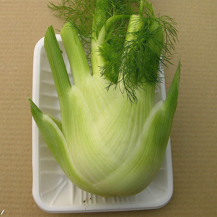 西餐配料 新鲜球茎 茴香头 14.90/斤