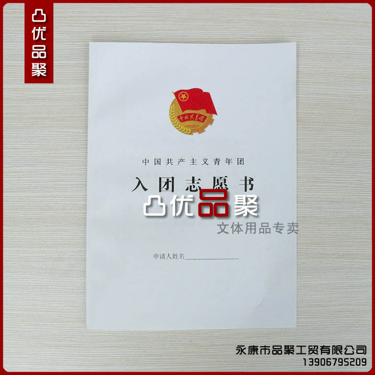 中國共產主義青年團入團志願書6頁 團員證 團徽 檔案袋 志願書4頁