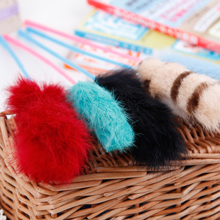 尾巴 双山鸡尾巴 火鸡羽毛逗猫棒猫玩具cfa比赛用 贝多芬宠物/田田猫