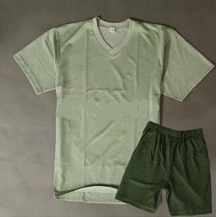 01体能训练服 军训服夏作训服军迷正品t恤 军绿大短裤新款套装