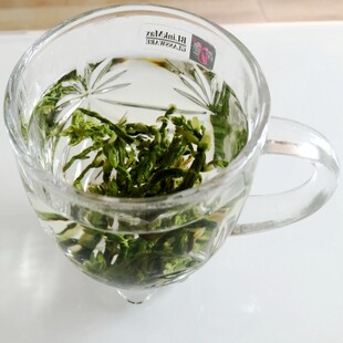 莒县芦笋茶 山东绿芦笋嫩芽尖茶特级蔬菜茶非脱水蔬菜干养生茶50g