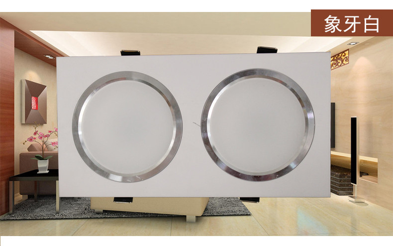 led双头筒灯天花灯双孔双筒灯长方形斗胆灯筒灯20/10嵌入式格栅灯