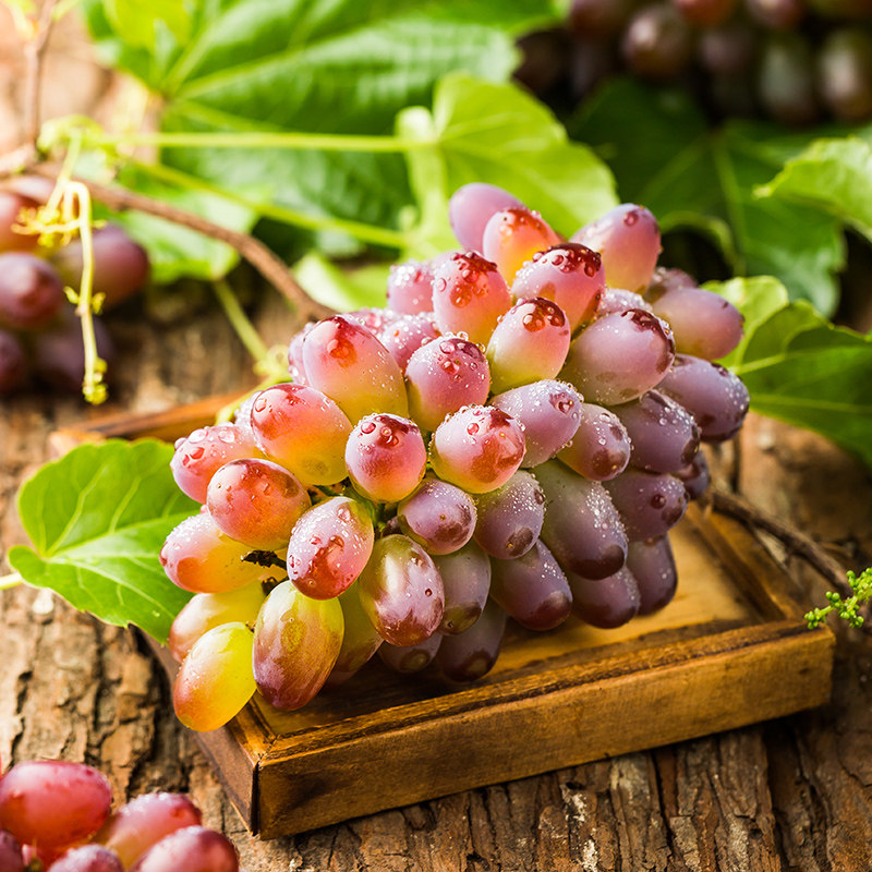 【天猫超市】66减30辽宁醉玫瑰葡萄500g 新鲜水果